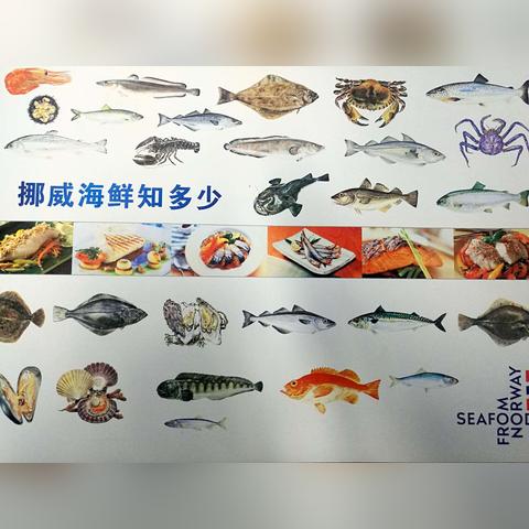 置疑：全年资料免费大全与香港码2025今期开奖结果,精细化计划设计-防范欺诈的假推销词